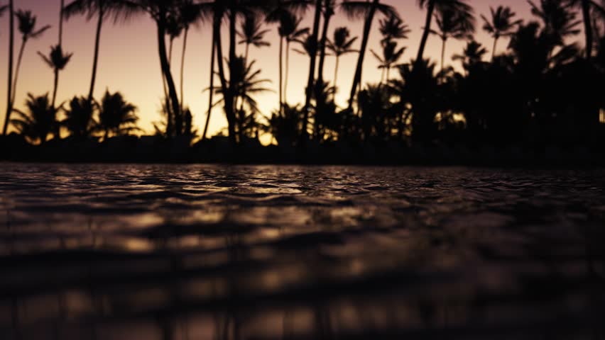 An early morning tropical sunrise with a background of tall palm trees and water ripples on a pool showing bright orange and yellow colors in Punta Cana, Dominican Republic.