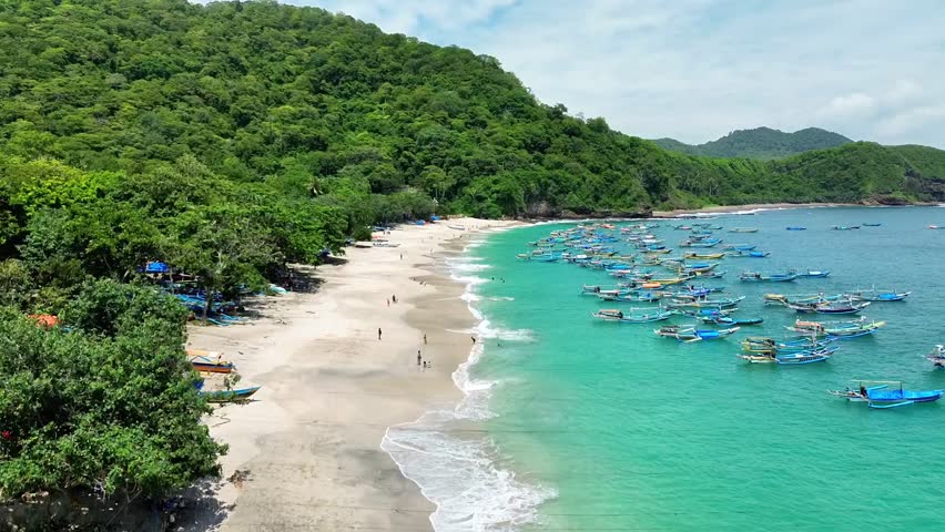 Natural Landscape of White Sand Beach, Fishing Boats, and Tropical Trees