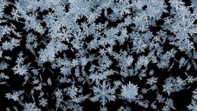 Snow Background Loop On Black Screen. Winter, Christmas. Vertical Video. Snow Flakes Fall On Black Background Animation Falling Snow Isolated . Chroma Key Loopable Snow Winter - Powered by Shutterstock - Get 15% off with code: PIKWIZARD15