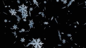 Snow Background Loop On Black Screen. Winter, Christmas. Vertical Video. Snow Flakes Fall On Black Background Animation Falling Snow Isolated . Chroma Key Loopable Snow Winter - Powered by Shutterstock - Get 15% off with code: PIKWIZARD15