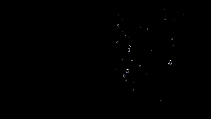 Shutterstock Video