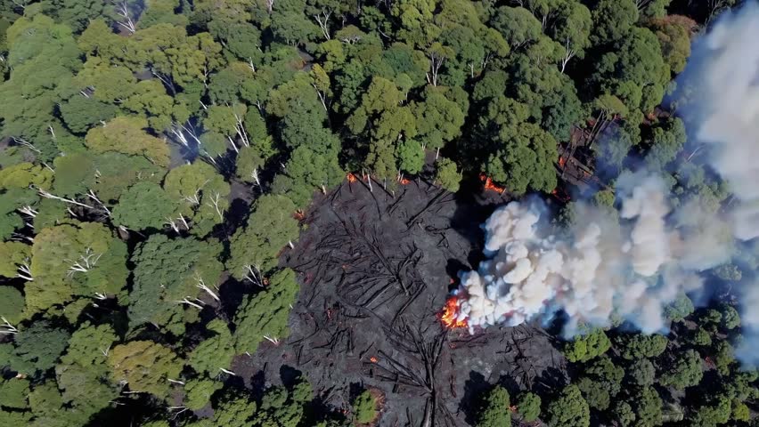 A dramatic 4K aerial view capturing a massive fire consuming parts of the Amazon rainforest.