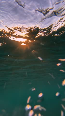 Undersea view of ocean wave and light beam in Indian Ocean.Slow motion video.Vertical video