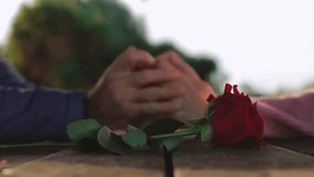 Loving partners holding hands, caressing fingers near blooming rose, symbolizing romantic bond during valentine's day celebration.Celebrating valentine's day or anniversary - Powered by Shutterstock - Get 15% off with code: PIKWIZARD15