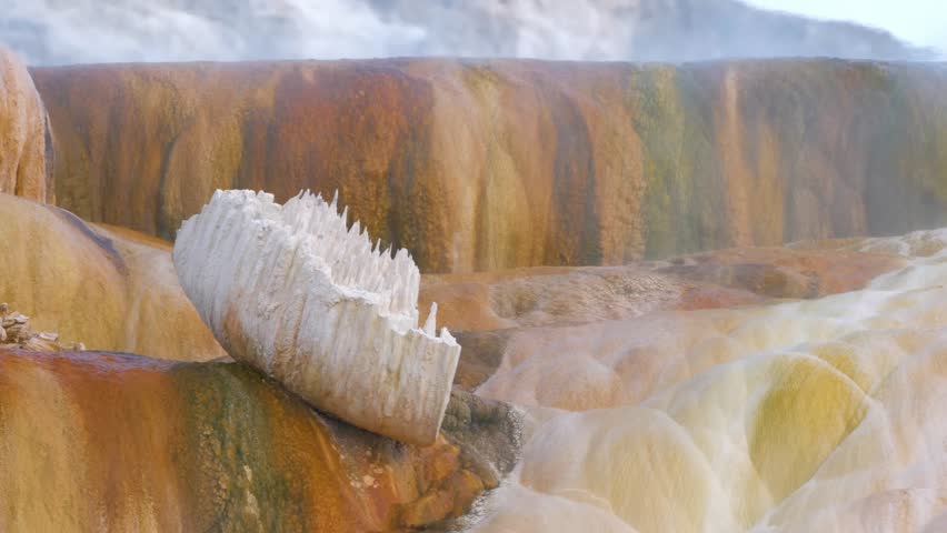 Mammoth Hot Springs Yellowstone National Park Wyoming USA.