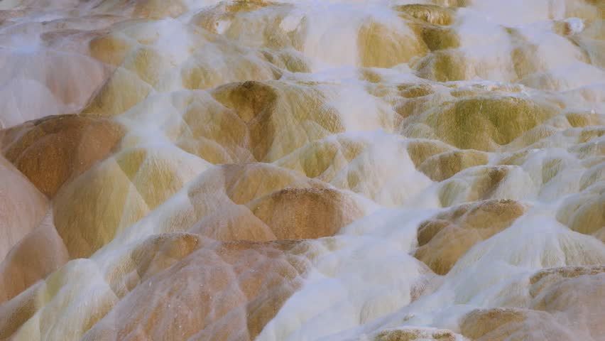 Mammoth hot springs in yellowstone national park.
