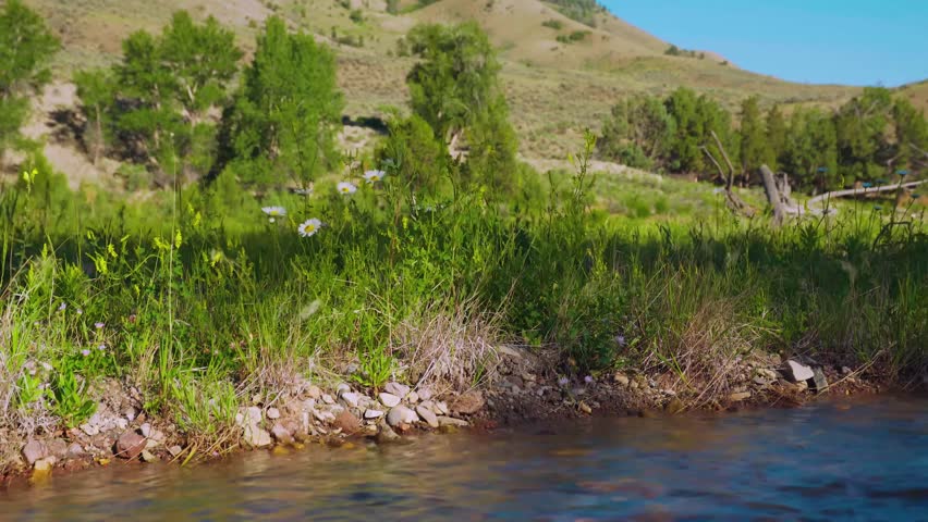 View of the Lewis River as it flows from Lewis Lake and joins the Snake River.