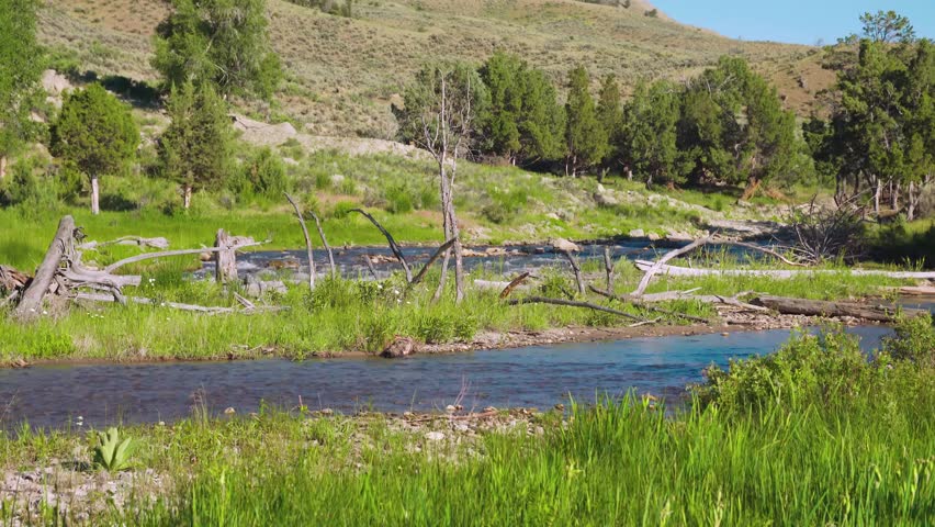 Lewis Falls on the Lewis River in Yellowstone National Park.