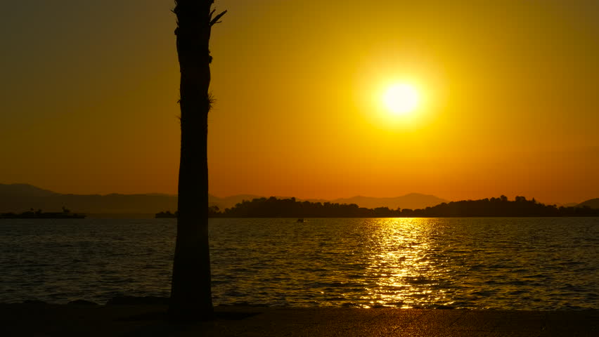 Breathtaking sunset behind rolling hills with silhouetted palm tree. The sun sets over a hill in the distance, casting an orange glow across the sky and water. A palm tree stands in silhouette