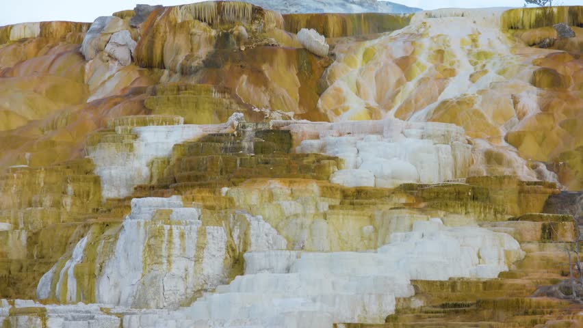 Beautiful layer of hot spring, mammoth hot spring yellowstone national park.