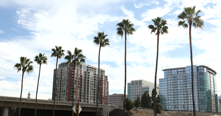 Palm framed view of the downtown skyline buildings of San Jose, California, USA.