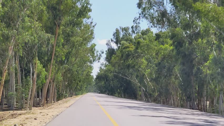 Forest highway Road in District Bhakkar Pakistan