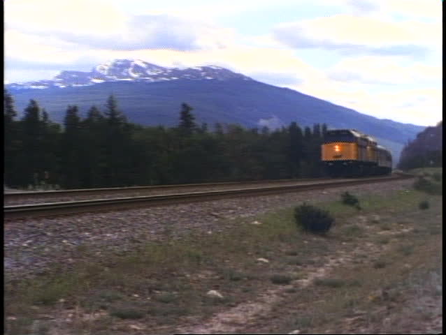 train pass by in the heart of the Canadian Rockies