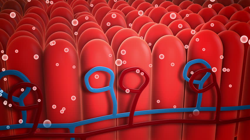 Micro Particles Floating on Tongue Receptor