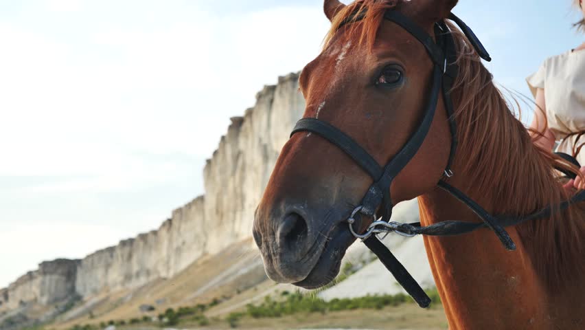 Chestnut horse wearing a bridle neighing loudly in front of a white rock cliff under blue sky