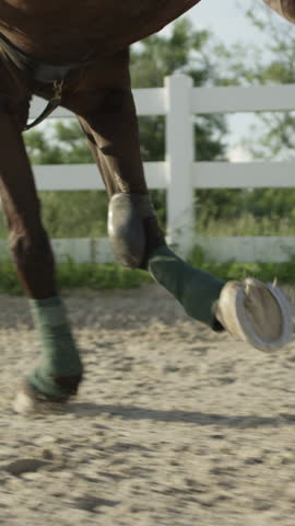 SLOW MOTION CLOSE UP: Beautiful big dark bay gelding cantering with his strong powerful legs wrapped in polos in sandy paddock. Dressage female rider horseback riding a mighty brown stallion horse