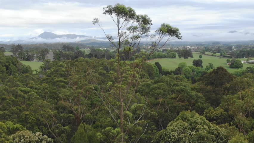 Coramba area, Australian Interland landscape, Vertigo effect, Dolly zoom, Aerial drone