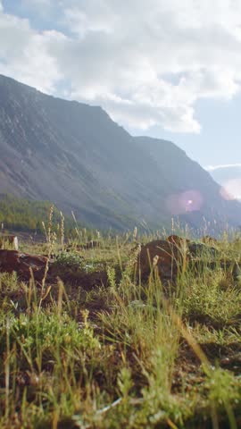 Young woman Hiker wearing sturdy hiking boots traversing a mountain trail at sunrise, breathing in the fresh air and soaking in the breathtaking views of the surrounding landscape