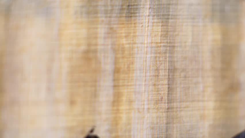 Papyrus Parchment Paper Texture, Macro Close Up