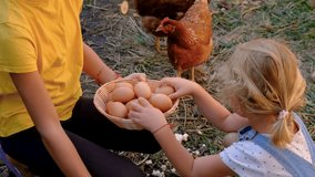 Child collecting eggs on a farm. Selective focus. - Powered by Shutterstock - Get 15% off with code: PIKWIZARD15