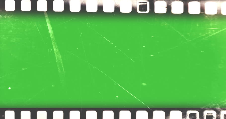 Shutterstock Video