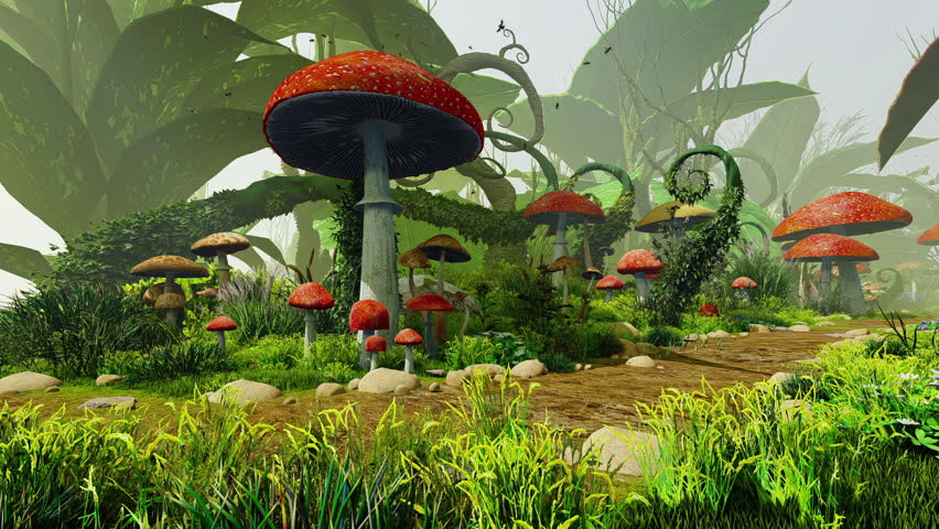  Mushrooms And Plants In The Magical Forest. Animation On The Theme Of Fairy Tales And Magic, Fantasy And 3D. 