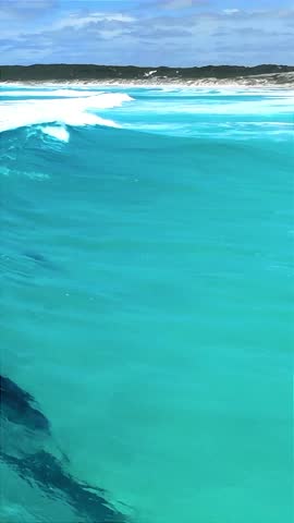 dolphins jumping at the edge of the waves