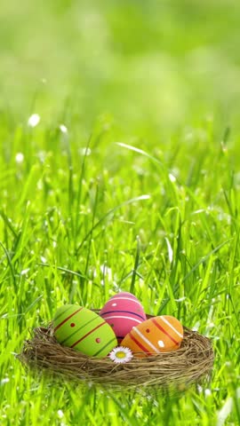 easter egg basket decoration in a green spring garden meadow with moving grass in slow motion wind, sunny easter greeting card template concept with copy space, sunny nature scene