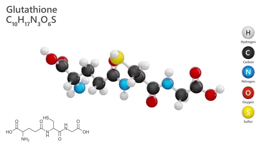 Glutathione. Antioxidant. Animated 3D model of a molecule. Molecular formula: C10H17N3O6S. Chemical model: Ball and stick. White background. 3D rendering. Seamless loop.