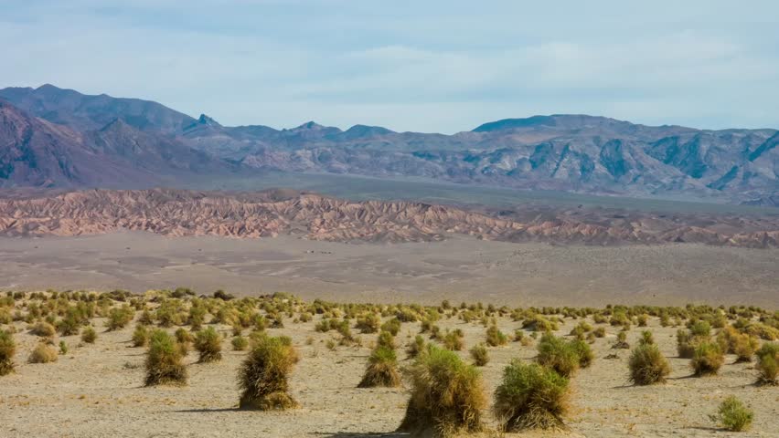 Explore the dried desert grass within the Mesquite Flat Sand Dunes, showcasing the beauty and resilience of flora in Death Valley National Park, California.