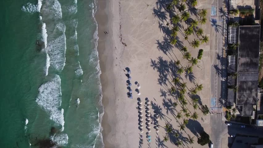 Breathtaking bird's-eye top-down view of Playa El Agua, Isla de Margarita, with pristine turquoise waters and golden sands lined with lush palm trees in a tropical paradise.