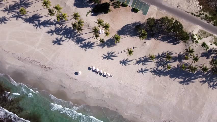 A birdseye aerial view of palm trees casting long shadows on the golden sands of Playa El Agua, Isla de Margarita, Venezuela, highlighting tropical beauty in the Caribbean.