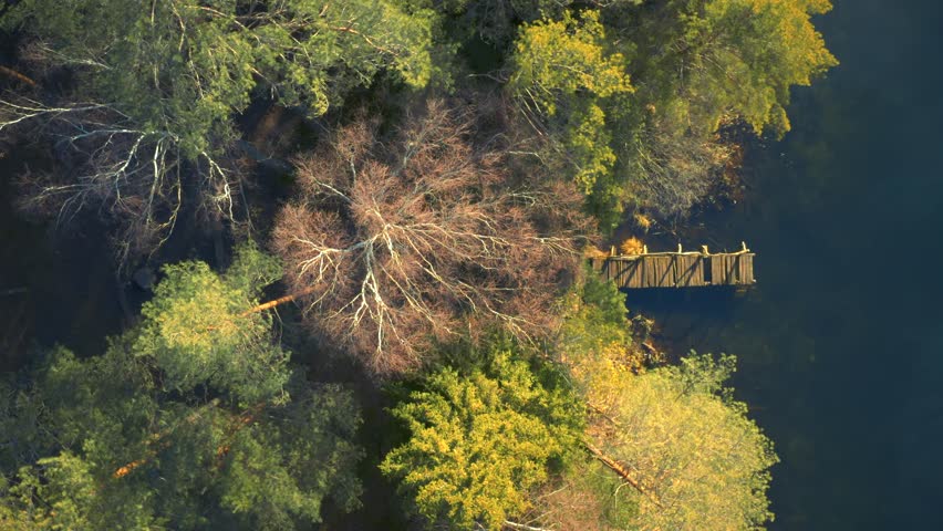 Forest lake footbridge, deep woods, blue water, sunrise, golden hour, aerial drone video