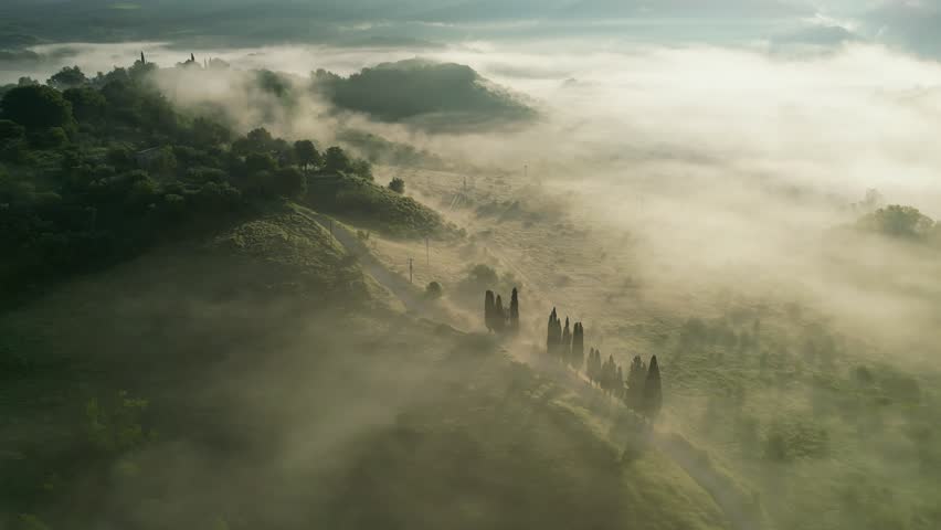 A serene morning in Tuscany: rolling hills shrouded in soft mist, a cypress-lined road disappearing into the fog. A tranquil aerial view capturing the enchanting beauty of the Italian countryside.