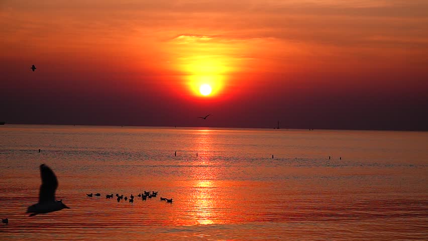 The sun sets over the calm sea, casting a golden orange glow across the sky and reflecting beautifully on the shimmering water. The sun is positioned near the horizon, creating a beautiful shimmering 