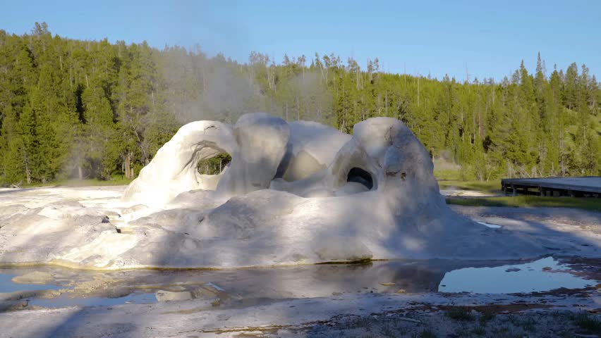 View of the oddly-shaped Grotto Geyser in the Upper Geyser Basin in Yellowstone National Park, United States.