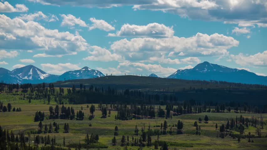 Sagebrush and native grass meadow with view of Gallatin Mountain Range near Mammoth Hot Springs in Yellowstone National Park in Wyoming.