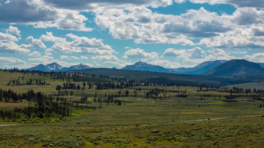 Sagebrush and native grass meadow with view of Gallatin Mountain Range near Mammoth Hot Springs in Yellowstone National Park in Wyoming.