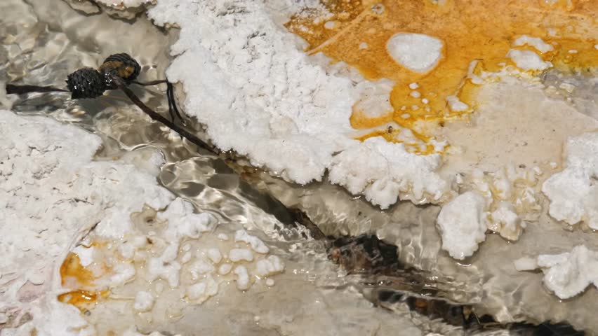 Mammoth Hot Springs in yellowstone national park, wyoming, usa.