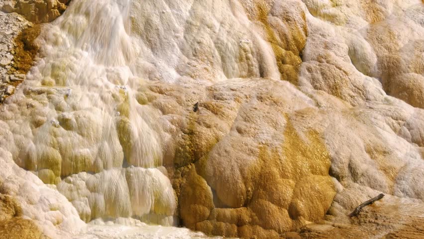 Calcium Carbonate deposits from hot springs in the heart of Yellowstone National Park near Mammoth, Wyoming, USA.