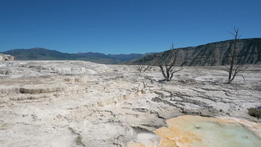 Main Travertine sinter terraces in Mammoth Hot Springs.