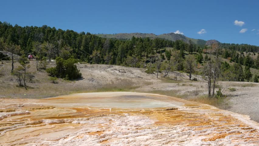 Palette Spring at Mammoth Hot Springs in Yellowstone National Park, Wyoming. Showing the many layers of calcium carbonate deposited over time.