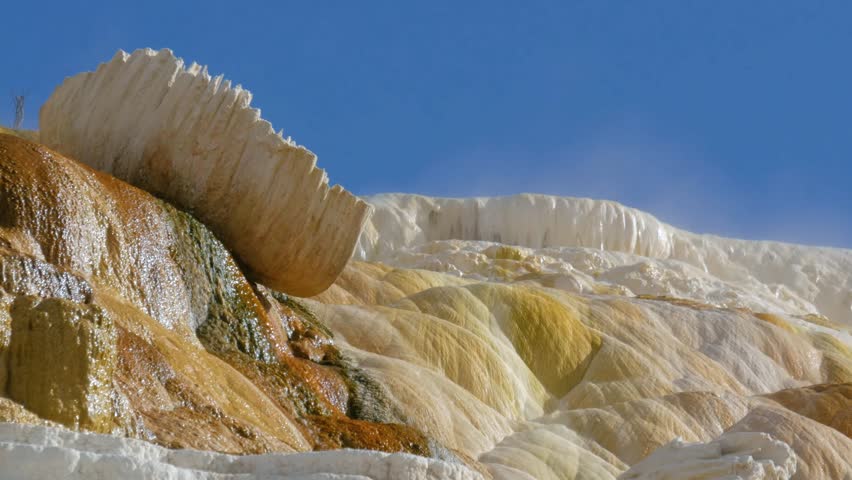 Mammoth Hot Springs is a large complex of hot springs on a hill of travertine in Yellowstone National Park adjacent to Fort Yellowstone and the Mammoth Hot Springs Historic District.