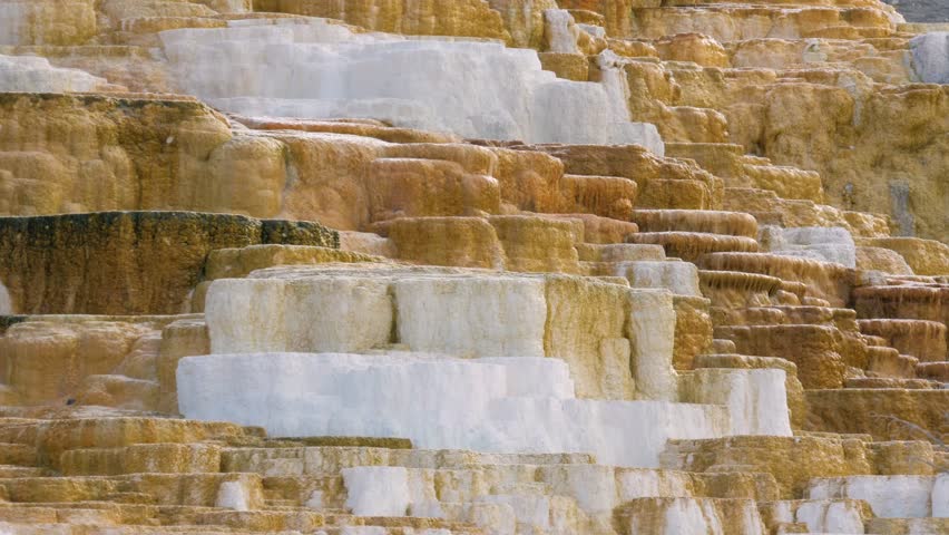 Mammoth Hot Springs at Sunrise, Yellowstone National Park.