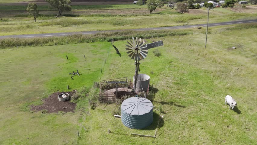 Cattle roam near windmill and water storage tank