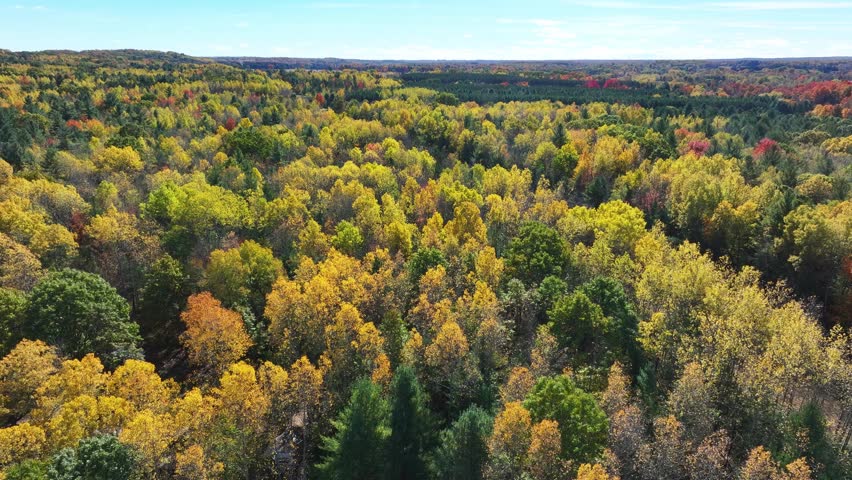 Beautiful Michigan fall colors captured from an aerial view moving forward slowly.