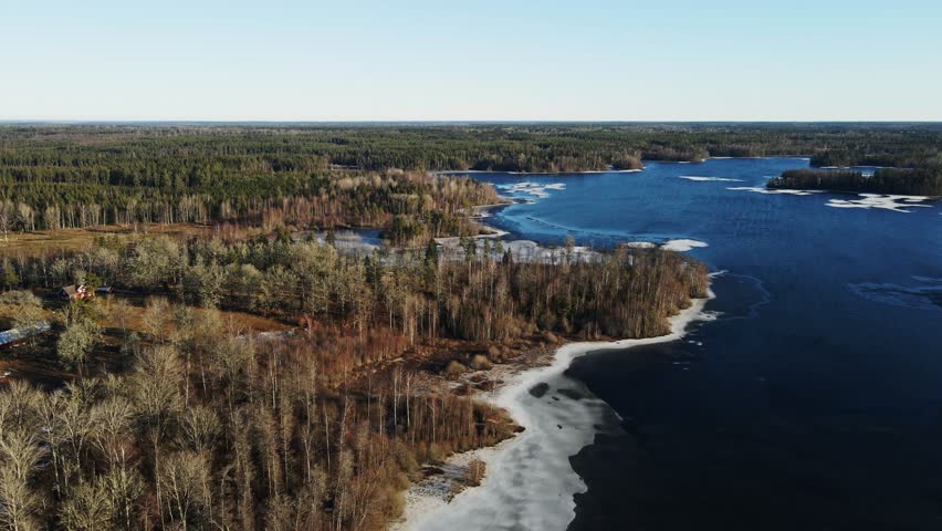 Aerial of a beautiful shoreline of frozen lake at the edge of a vast forest in rural Sweden on a sunny winter day