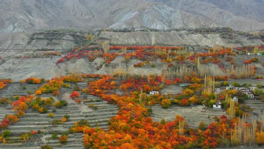 Breathtaking aerial view of Skardu Valley in Pakistan, showcasing vibrant autumn foliage covering slopes and terraces