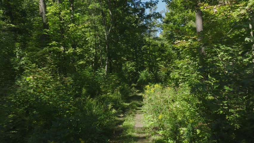 Expansive aerial views of Big Round Lake and forested trails in Wisconsin.