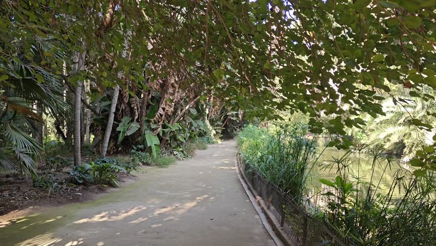 the duck lake, located in the beautiful Hamma botanical garden. Algiers. Algeria	